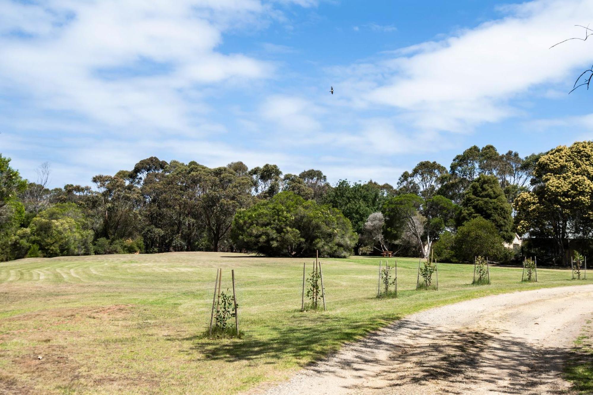 Bells Beach Cottages Bellbrae Bagian luar foto