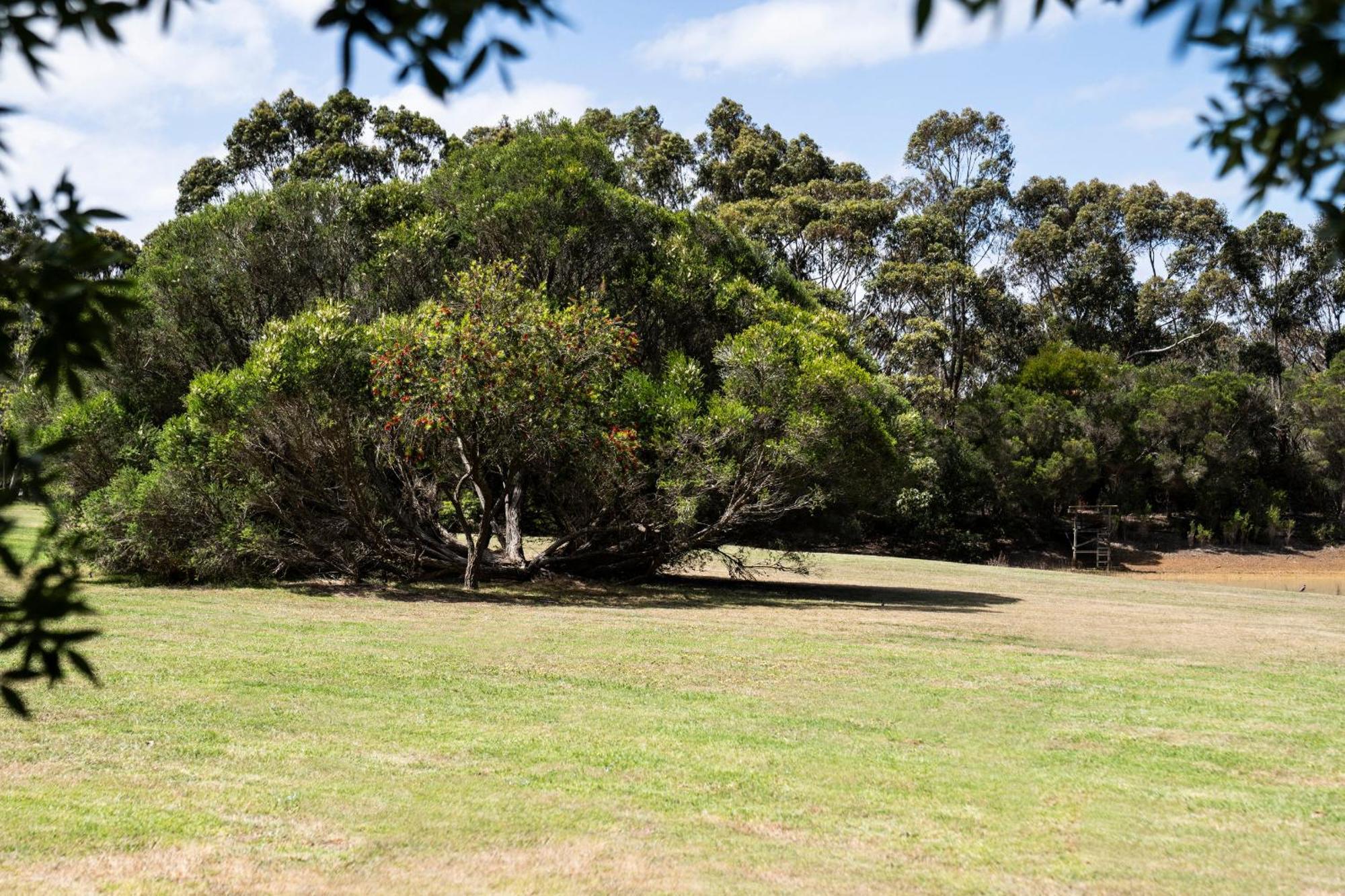 Bells Beach Cottages Bellbrae Bagian luar foto